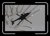 AH-64D Apache NL 302 Sqn Gilze-Rijen O-24 IMG_8725 * 3504 x 2332 * (4.02MB)